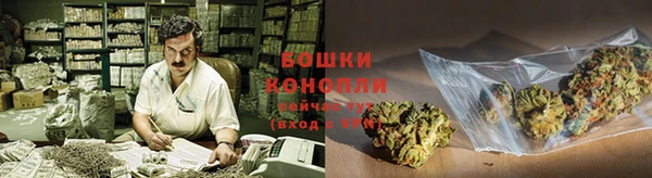 spice Богородск