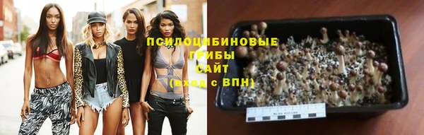spice Богородск