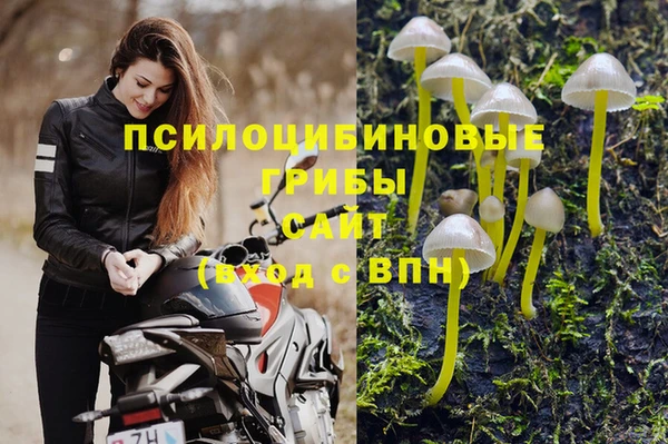 spice Богородск