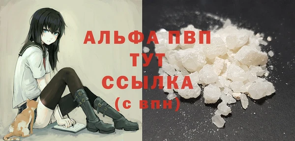 spice Богородск