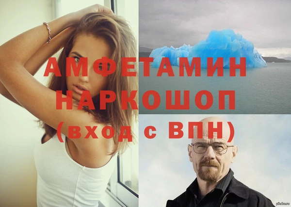 spice Богородск