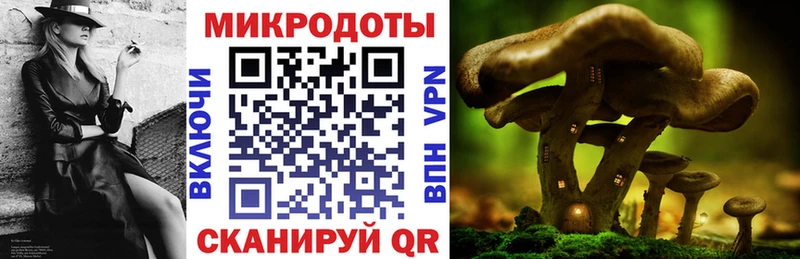 MEGA зеркало  магазин    Каневская  Галлюциногенные грибы Psilocybine cubensis 